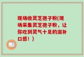 现场收灵芝孢子粉(现场采集灵芝孢子粉，让你吃到灵气十足的滋补口感！)