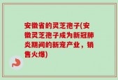 安徽省的灵芝孢子(安徽灵芝孢子成为新冠肺炎期间的新宠产业，销售火爆)