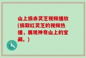 山上摘赤灵芝视频播放(摘取红灵芝的视频热播，展现神奇山上的宝藏。)