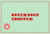 海参灵芝酒(海参和灵芝酿制的养生酒)