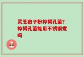 灵芝孢子粉桦褐孔菌？桦褐孔菌能用不锈钢煮吗