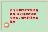 灵芝山参吃法大全图解图片(灵芝山参吃法大全图解，营养价值全面解析)