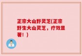 正宗大山野灵芝(正宗野生大山灵芝，疗效显著！)