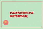 北龙湖灵芝造型(北龙湖灵芝雕塑亮相)