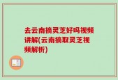 去云南摘灵芝好吗视频讲解(云南摘取灵芝视频解析)