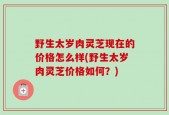 野生太岁肉灵芝现在的价格怎么样(野生太岁肉灵芝价格如何？)