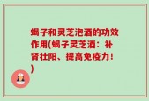 蝎子和灵芝泡酒的功效作用(蝎子灵芝酒：补肾壮阳、提高免疫力！)
