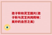 孢子粉和灵芝图片(孢子粉与灵芝共同辉映：美妙的自然之美)