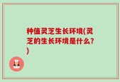 种值灵芝生长环境(灵芝的生长环境是什么？)