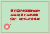 灵芝搭配老葛根的功效与禁忌(灵芝与老葛根搭配：功效与注意事项)