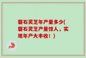 磐石灵芝年产量多少(磐石灵芝产量惊人，实现年产大丰收！)
