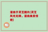 灌南于灵芝图片(灵芝风光无限，灌南美景惊艳)
