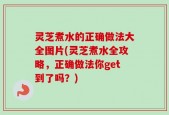 灵芝煮水的正确做法大全图片(灵芝煮水全攻略，正确做法你get到了吗？)