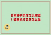 自家种的灵芝怎么破壁？破壁机打灵芝怎么做