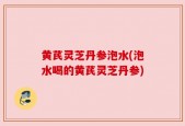 黄芪灵芝丹参泡水(泡水喝的黄芪灵芝丹参)