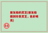 朋友拍的灵芝(朋友拍摄到珍贵灵芝，色彩明亮)