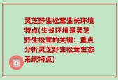 灵芝野生松茸生长环境特点(生长环境是灵芝野生松茸的关键：重点分析灵芝野生松茸生态系统特点)