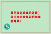灵芝园订婚宴拍外景(灵芝园定婚礼前拍摄美丽外景)