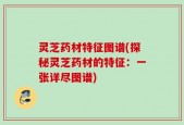 灵芝药材特征图谱(探秘灵芝药材的特征：一张详尽图谱)