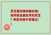 灵芝要买哪种最好用(如何挑选最优秀的灵芝？购买攻略不容错过！)