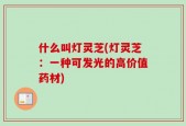 什么叫灯灵芝(灯灵芝：一种可发光的高价值药材)
