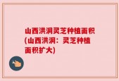 山西洪洞灵芝种植面积(山西洪洞：灵芝种植面积扩大)