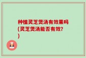 种植灵芝煲汤有效果吗(灵芝煲汤能否有效？)