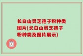长白山灵芝孢子粉种类图片(长白山灵芝孢子粉种类及图片展示)