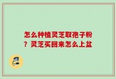 怎么种植灵芝取孢子粉？灵芝买回来怎么上盆
