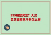 999破壁灵芝？大汉灵芝破壁孢子粉怎么样