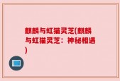 麒麟与虹猫灵芝(麒麟与虹猫灵芝：神秘相遇)