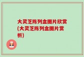 大灵芝陈列盒图片欣赏(大灵芝陈列盒图片赏析)