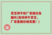 灵芝烘干机厂家报价及图片(高效烘干灵芝，厂家直销价格实惠！)