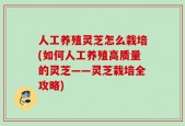 人工养殖灵芝怎么栽培(如何人工养殖高质量的灵芝——灵芝栽培全攻略)