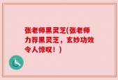张老师黑灵芝(张老师力荐黑灵芝，玄妙功效令人惊叹！)
