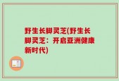 野生长脚灵芝(野生长脚灵芝：开启亚洲健康新时代)