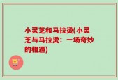 小灵芝和马拉烫(小灵芝与马拉烫：一场奇妙的相遇)