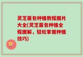 灵芝菌包种植教程图片大全(灵芝菌包种植全程图解，轻松掌握种植技巧)