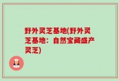 野外灵芝基地(野外灵芝基地：自然宝藏盛产灵芝)