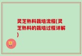 灵芝熟料栽培流程(灵芝熟料的栽培过程详解)