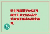 野生西藏灵芝价格(西藏野生灵芝价格高企，受疫情影响市场供求两难)
