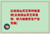 云南保山灵芝草种植基地(云南保山灵芝草基地：助力健康养生产业发展)
