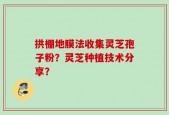 拱棚地膜法收集灵芝孢子粉？灵芝种植技术分享？