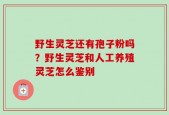 野生灵芝还有孢子粉吗？野生灵芝和人工养殖灵芝怎么鉴别