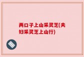 两口子上山采灵芝(夫妇采灵芝上山行)