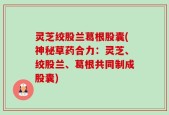灵芝绞股兰葛根股囊(神秘草药合力：灵芝、绞股兰、葛根共同制成股囊)