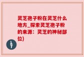 灵芝孢子粉在灵芝什么地方_探索灵芝孢子粉的来源：灵芝的神秘部位)