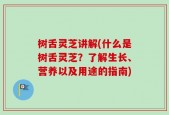 树舌灵芝讲解(什么是树舌灵芝？了解生长、营养以及用途的指南)