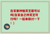 在家里种植灵芝菌可以吗(在家自己种灵芝可行吗？一起来探讨一下！)