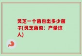 灵芝一个菌包出多少菌子(灵芝菌包：产量惊人)